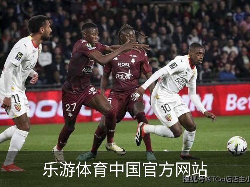 乐游体育中国官方网站概况